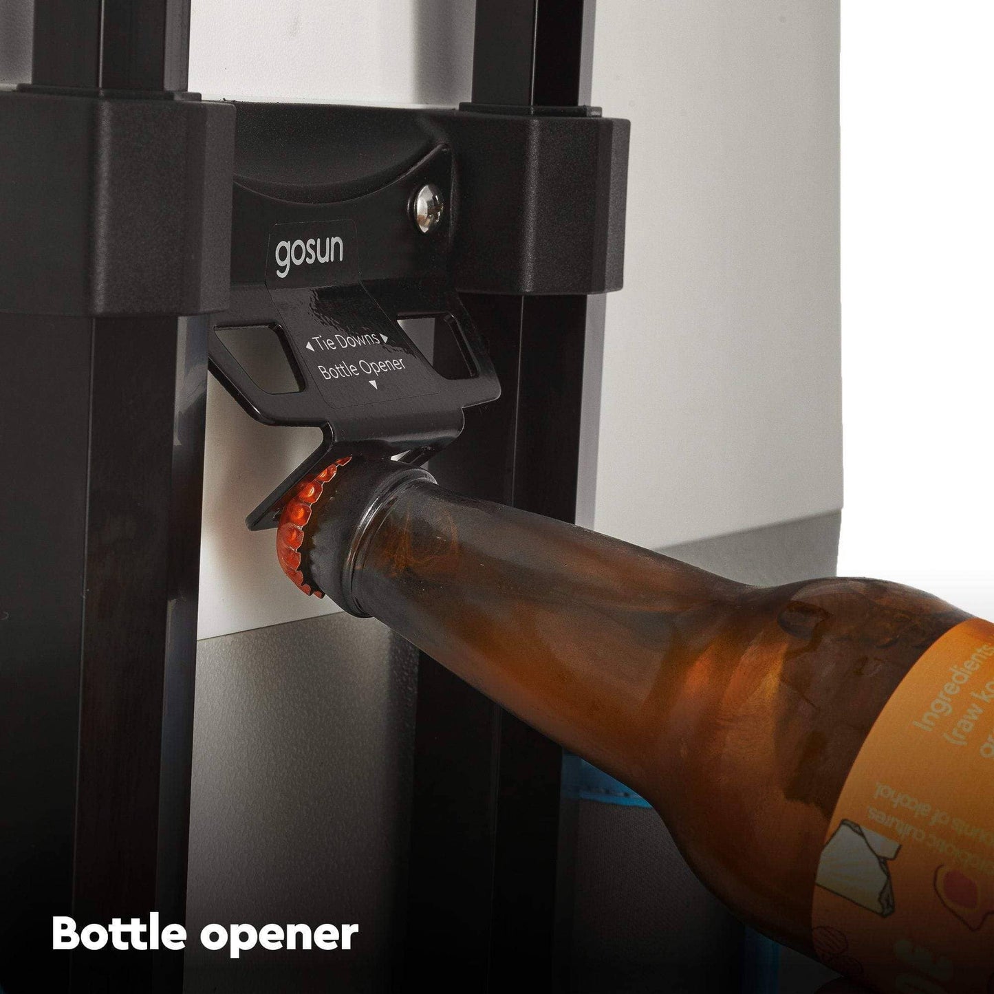 GoSun Chill + SolarTable 120